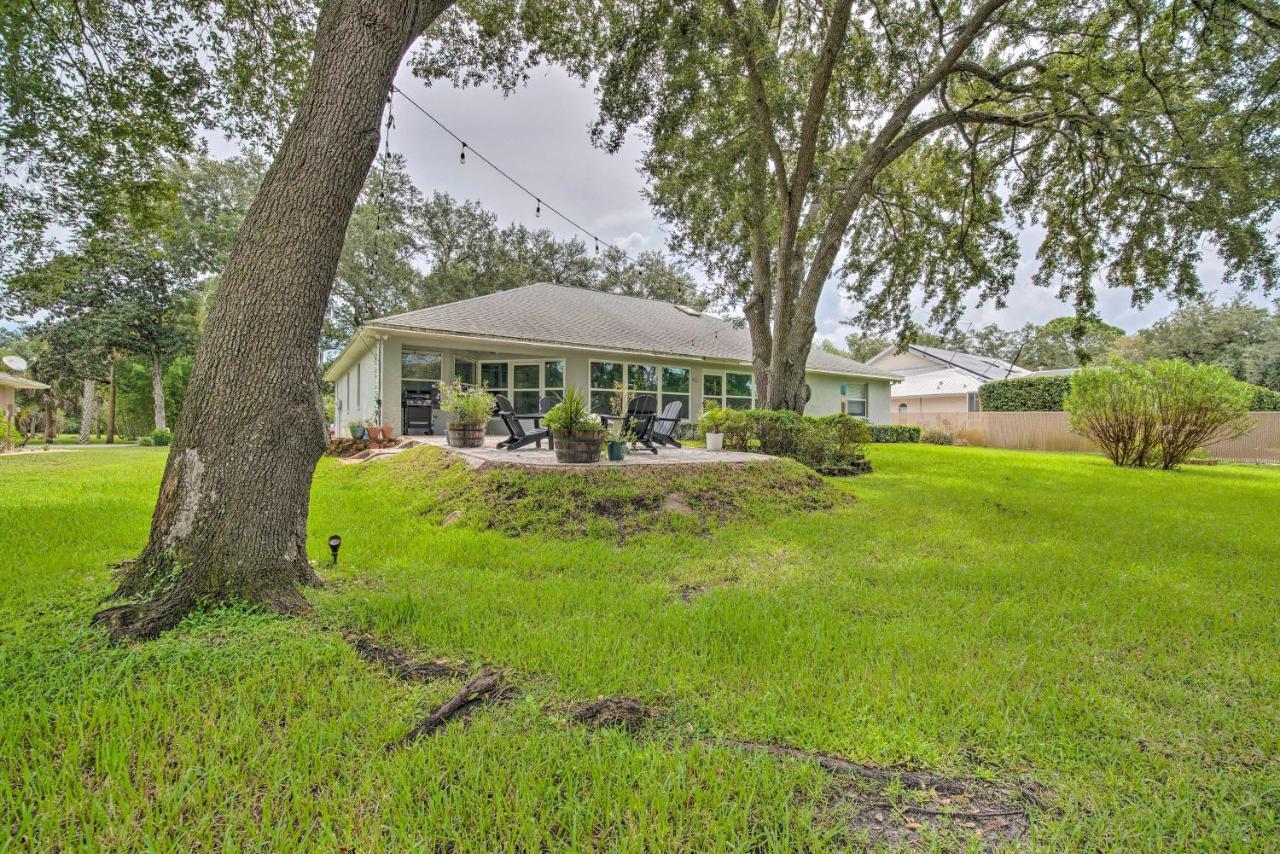Crystal River Gem Near Three Sisters Springs! Exterior foto